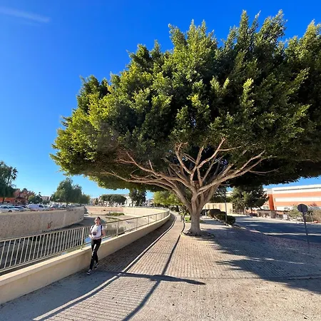 Διαμέρισμα Casa Kolibri *